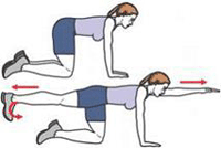 The images depict a person performing a core exercise called Birddog.